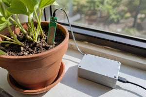 Capacitive soil moisture probe in a potted plant wired to a small enclosure on a windowsill